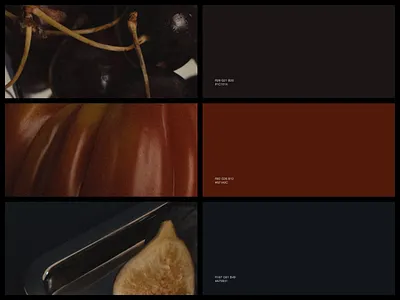 Editorial Concept branding colour design minimal ui ui ux ui ux design ux