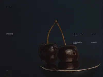 Editorial Concept branding design graphic design minimal ui ui ux design ux