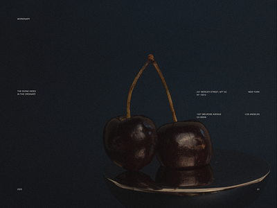 Editorial Concept branding design graphic design minimal ui ui ux design ux