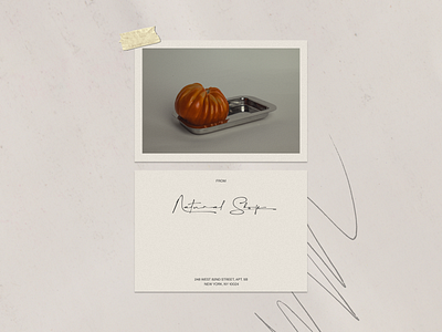 Editorial Concept branding design minimal page ui ui ux ui ux design ux