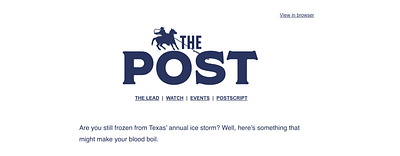 Email Newsletter Design branding cowboy design email graphic design horse illustration logo newsletter typography western