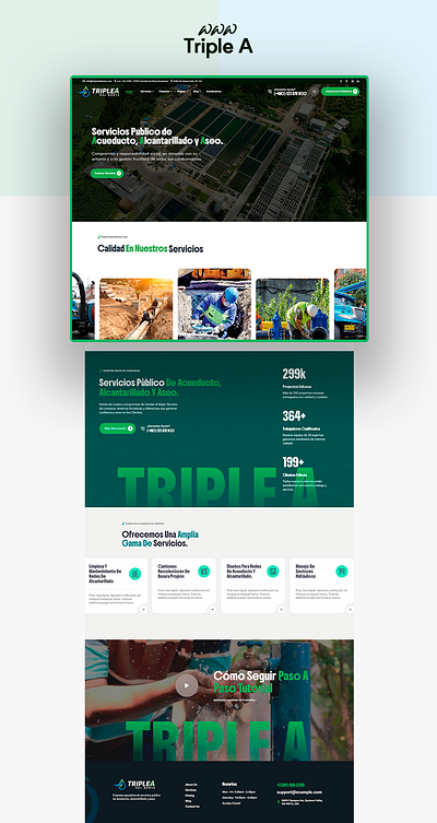 WWW Triple A Web Design branding design graphic design ui ux web design
