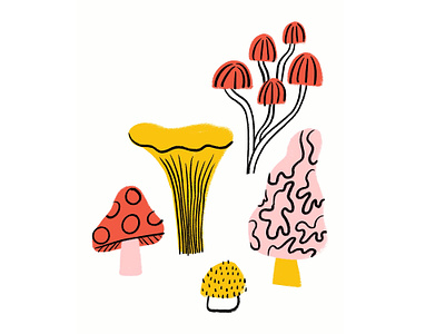 Pretty fly for a Fungi 🍄 chanterelle design doodle fungi fungus funny illo illustration lol morel mushrooms sketch