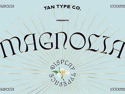 TAN - MAGNOLIA Blackletter Font black letter bold branding design display font display type elegant font fashion font font gothic style modern quirky font quirky letters retro serif tan magnolia blackletter font vintage