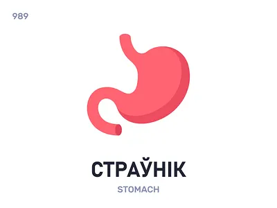 Стрáўнік / Stomach belarus belarusian language daily flat icon illustration vector word