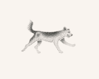 run arlo, run! 2d animation animation art beagle blue heeler cel cel animation dog frame by frame illustration pencil procreate puppy run run cycle walk cycle