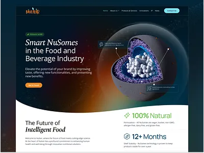 Nulixir Website Design and Development for Landing page Webflow. ai ai design clean design design agency development agency freelance web designer header healtcare ai healthcare hero theme design ui ux web web design agency web development webflow webflow development webflow template website website design