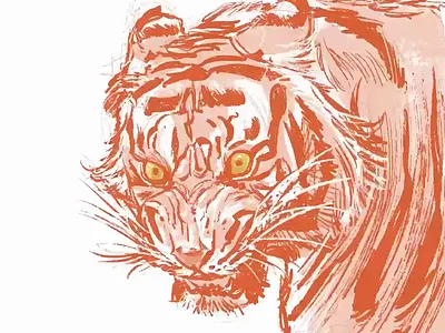 Tigre illustration
