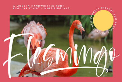 Flesmingo - A Modern Handwritten Font style