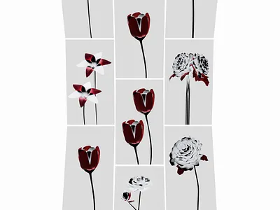 3D Flowers Vertical Orientation 3d 3d blender background branding design flower flowers red flower