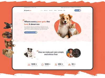 Care4Paws – Creative Pet Web Design by Pixlogix pixlogix wordpress wordpress development
