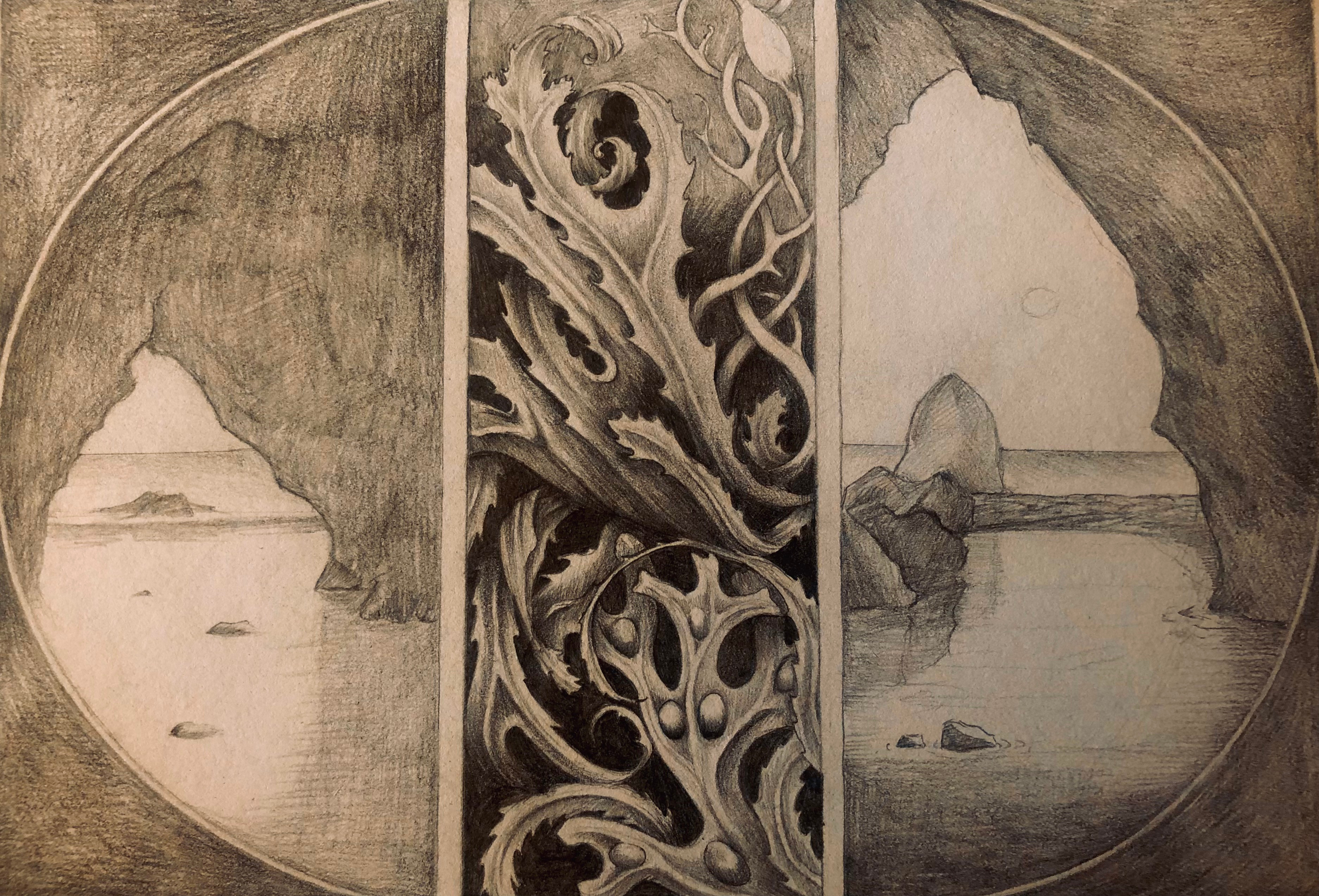 Wrack seaweeds and freshwater bay caves , Isle of Wight .sketch freshwater bay caves graphite illustration isle of wight wrack seaweeds