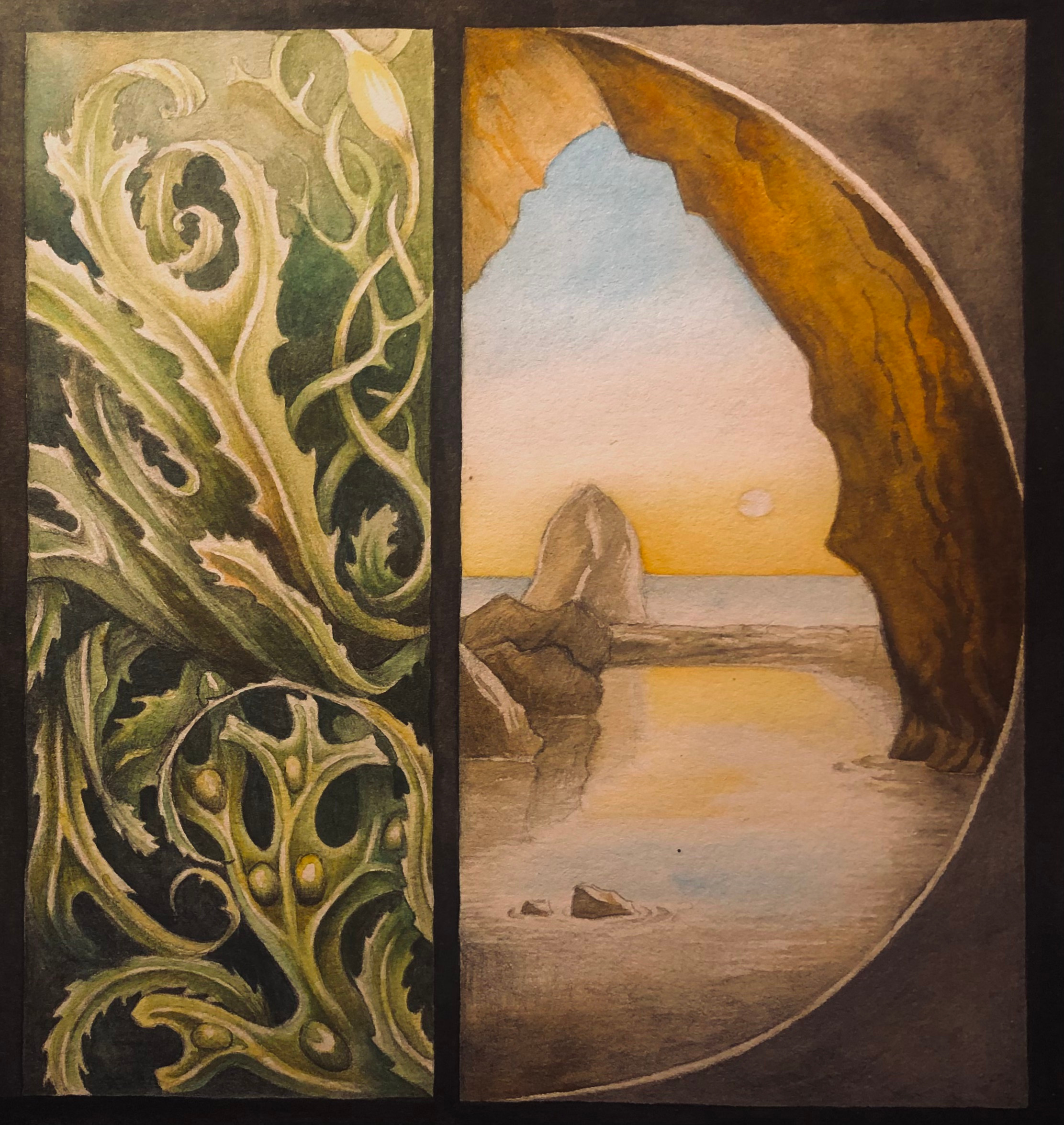 Watercolour illustration freshwater bay caves illustration isle of wight watercolour painting wrack seaweeds