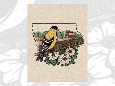 Eastern Goldfinch birds design drawing eastern goldfinch flowers illustration iowa wild rose
