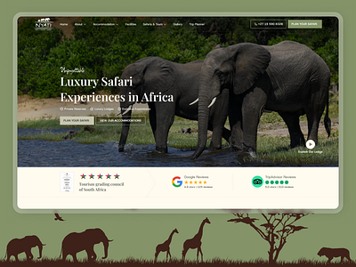 Nyati Safari – Safari Tours UI by Pixlogix design graphic design illustration pixlogix responsive design ui web design web development