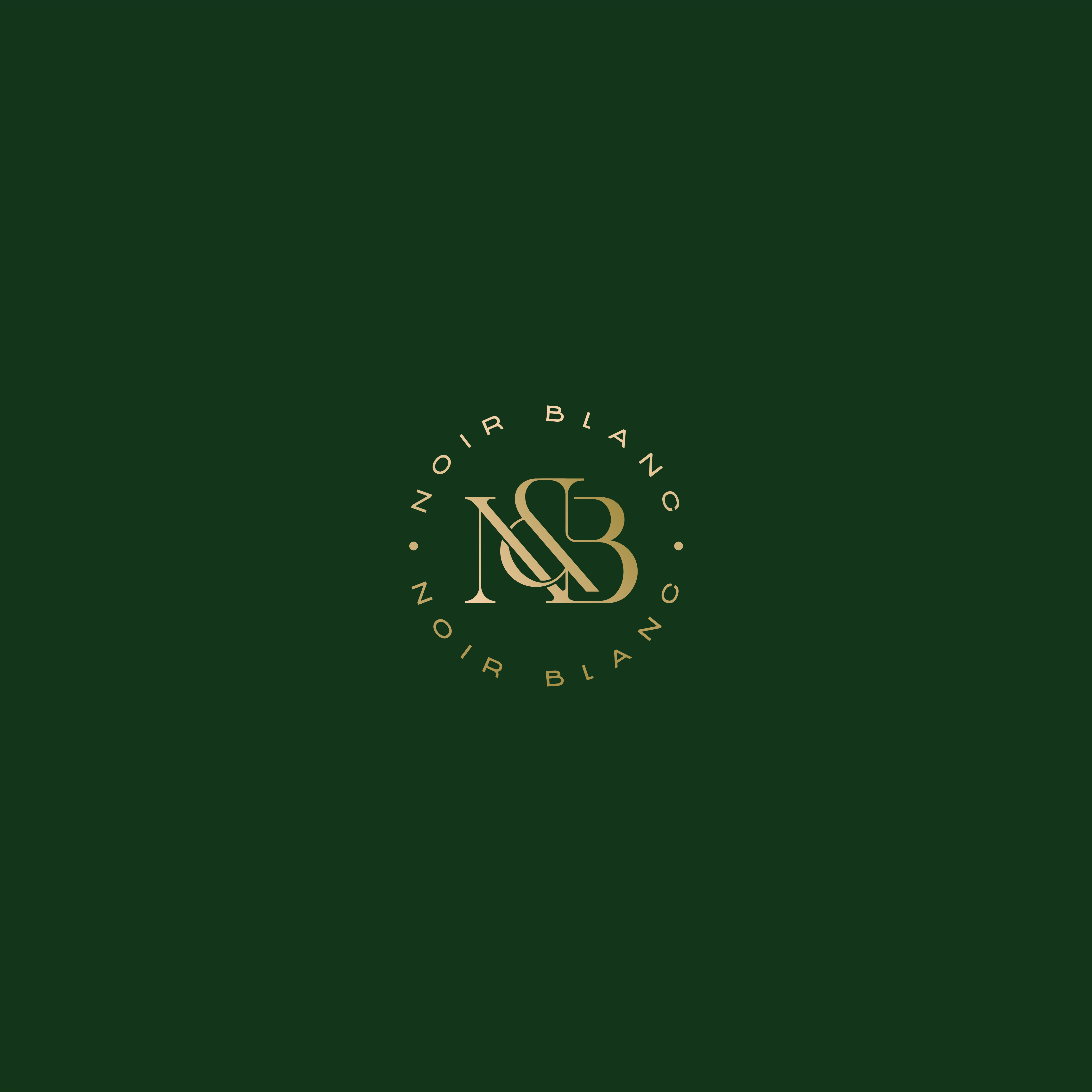 Initial logo - High-End Perfumes brand brand idnetity branding creative fiverr logo interlocking logo logo logo design logo idea luxury initial logo minimal modern logo monogram design perfume brand perfume logo