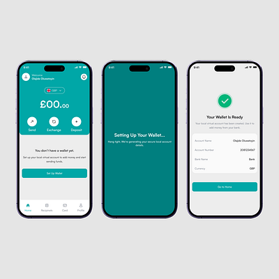 Wallet Setup Page fintech app ui design ux design wallet set up