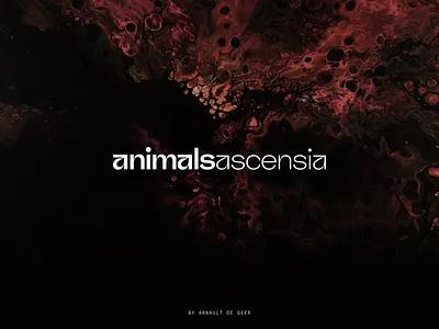 Animals Ascensia – Branding animalinspired belgiandesign brandidentity branding dark emotional logodesign logotype luxurybrand luxurysoap minimal mystery typography visualidentity