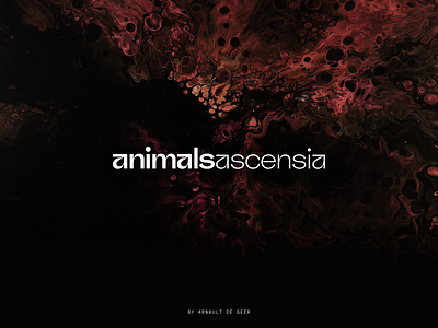 Animals Ascensia – Branding animalinspired belgiandesign brandidentity branding dark emotional logodesign logotype luxurybrand luxurysoap minimal mystery typography visualidentity