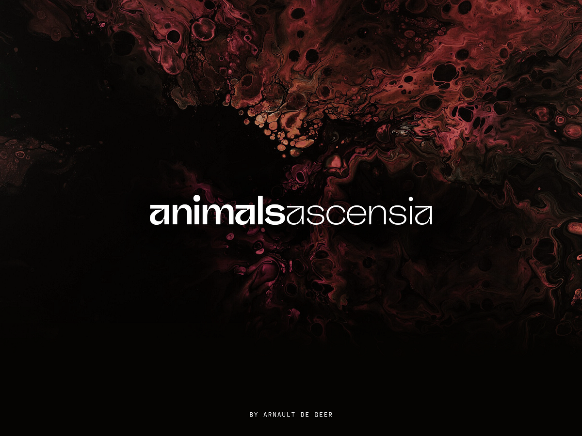 Animals Ascensia — Branding