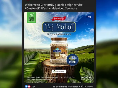 Social Media Post Design advertising branding graphic design social media design