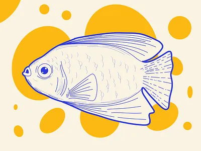 Fun Fish branding cute design fish flat design graphic design illustration logo mobile procreate ui