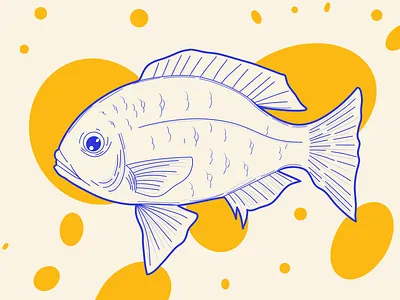 Fun Fish branding cute design fish flat design graphic design illustration logo mobile procreate ui