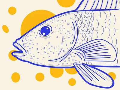 Fun Fish branding cute design fish flat design graphic design illustration logo mobile procreate ui