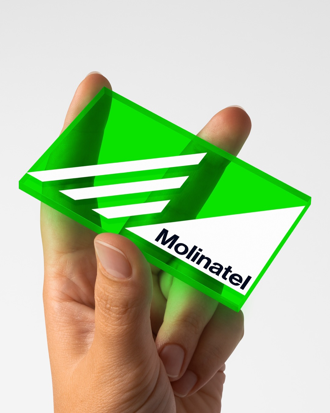 MOLINATEL identity branding business card corporate design download folder identity logo mockup mockups paper psd stationery template typography