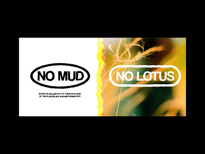 no mud / no lotus animation design experiment graphic design typography