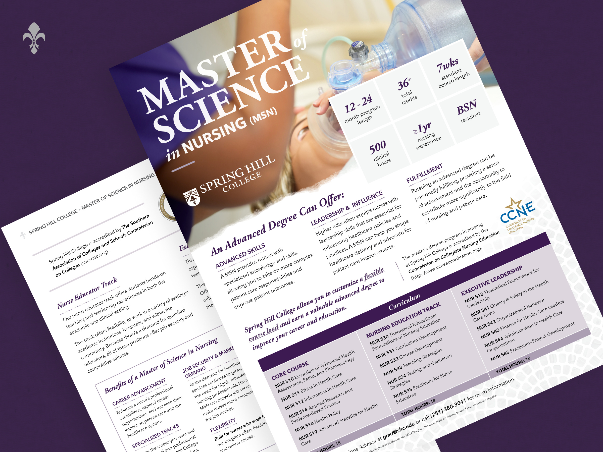 MSN Program: Recruitment Collateral brand branding college content design flyer flyer design graphic design master program print print design program promote flyer science university visual design