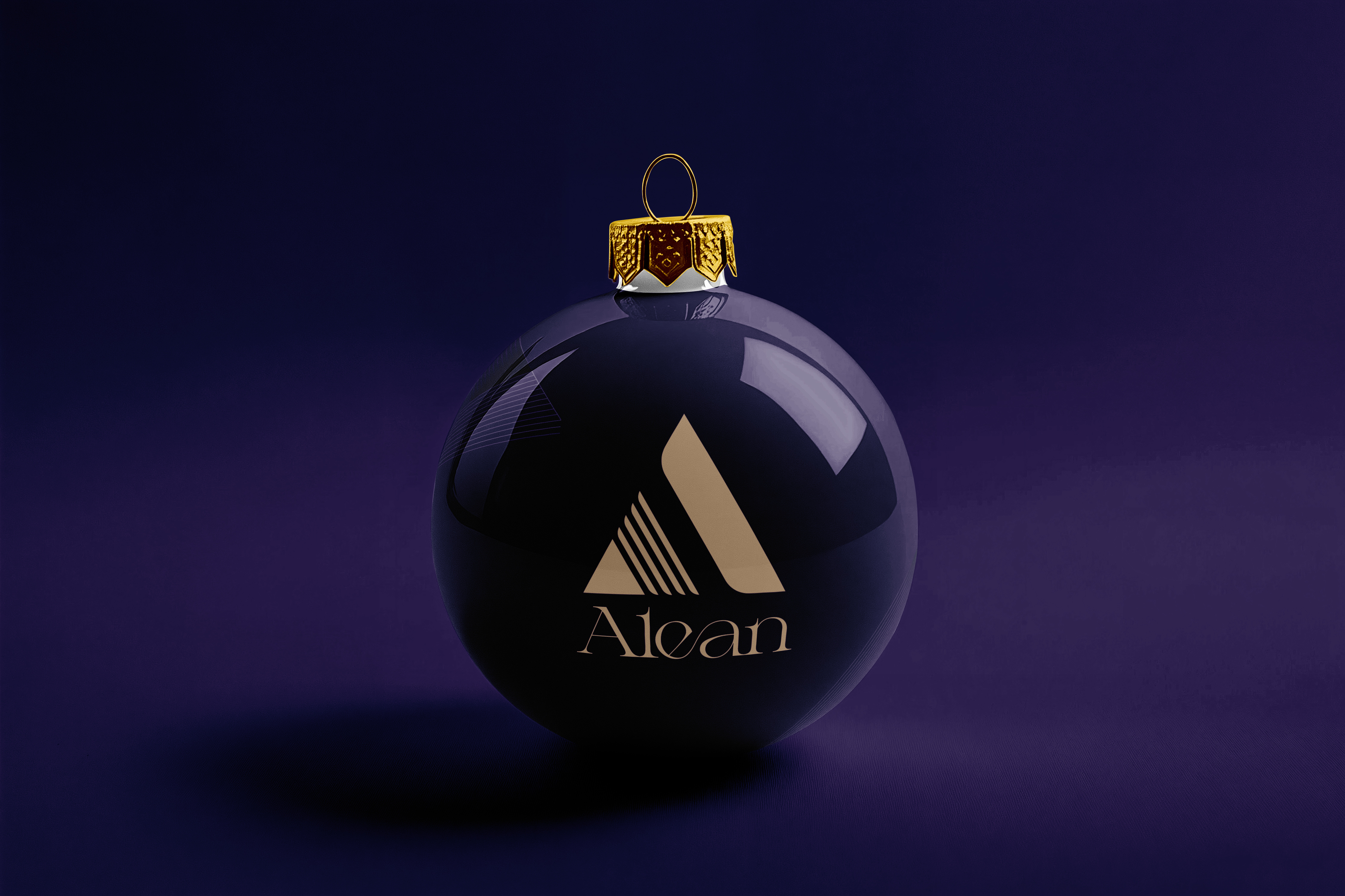 Example of Professional Brand Identity Design