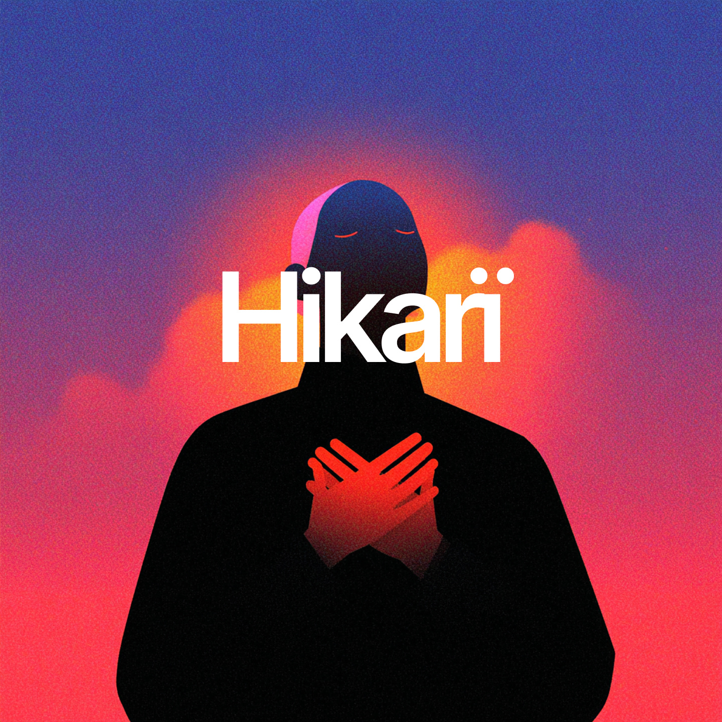 Hikarï Brand Identity & App Design app app design brand brand design brand identity branding graphic design identity project lead ui ux