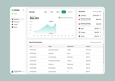 Financial Dashboard branding graphic design logo ui