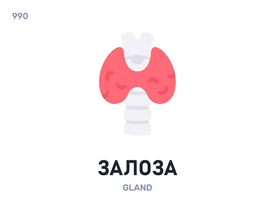 Залóза / Gland belarus belarusian language daily flat icon illustration vector word