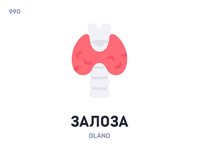 Залóза / Gland belarus belarusian language daily flat icon illustration vector word
