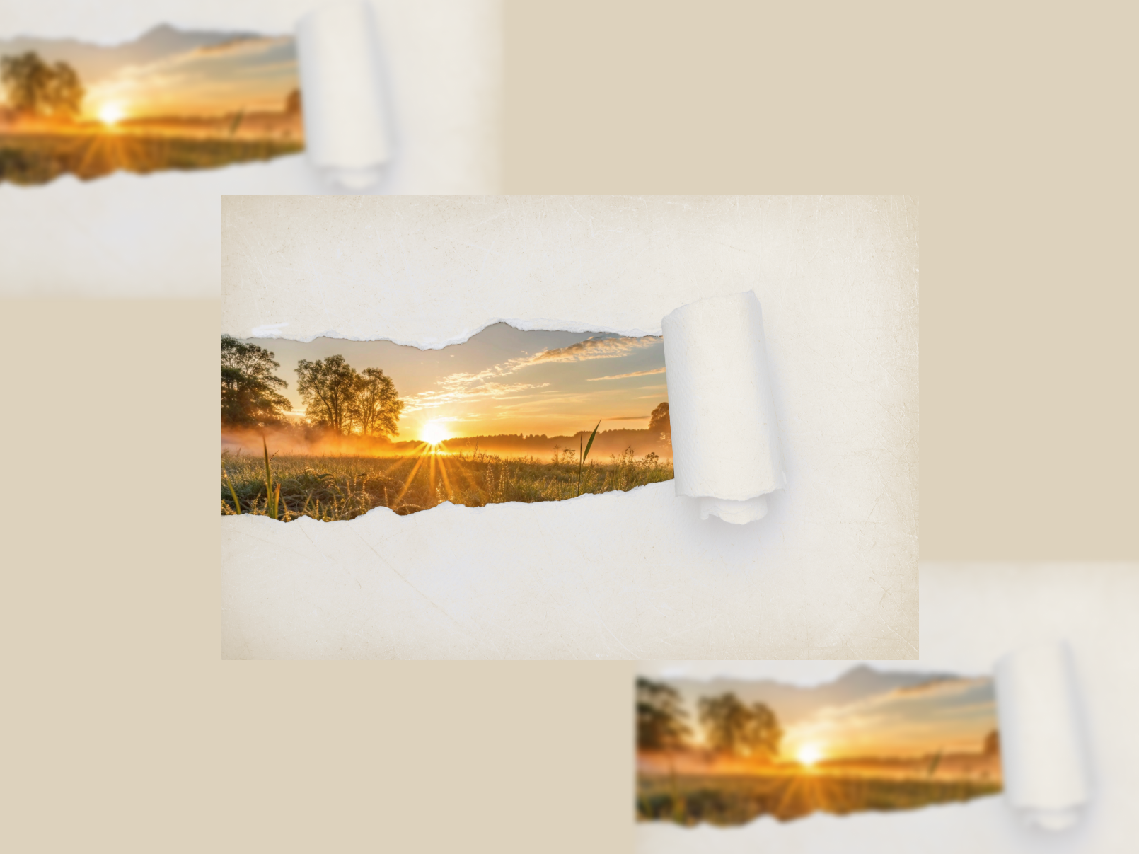 | Landscape card | app branding design graphic design illustration logo typography ui ux vector