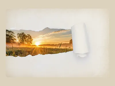 | Landscape card | app branding design graphic design illustration logo typography ui ux vector