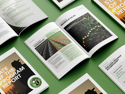 Impact in Focus annual report creative design design graphic design impact report layout design marketing prit design report report design