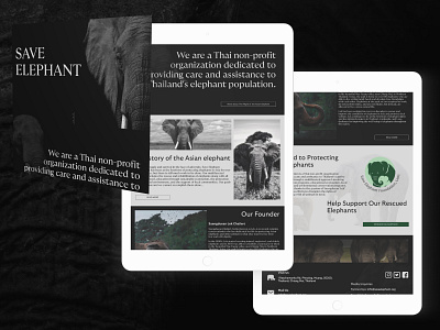 Non-Profit Organization Website Concept animal app branding charity design desktop elephant elephants graphic design non profit organization safari typography zoo