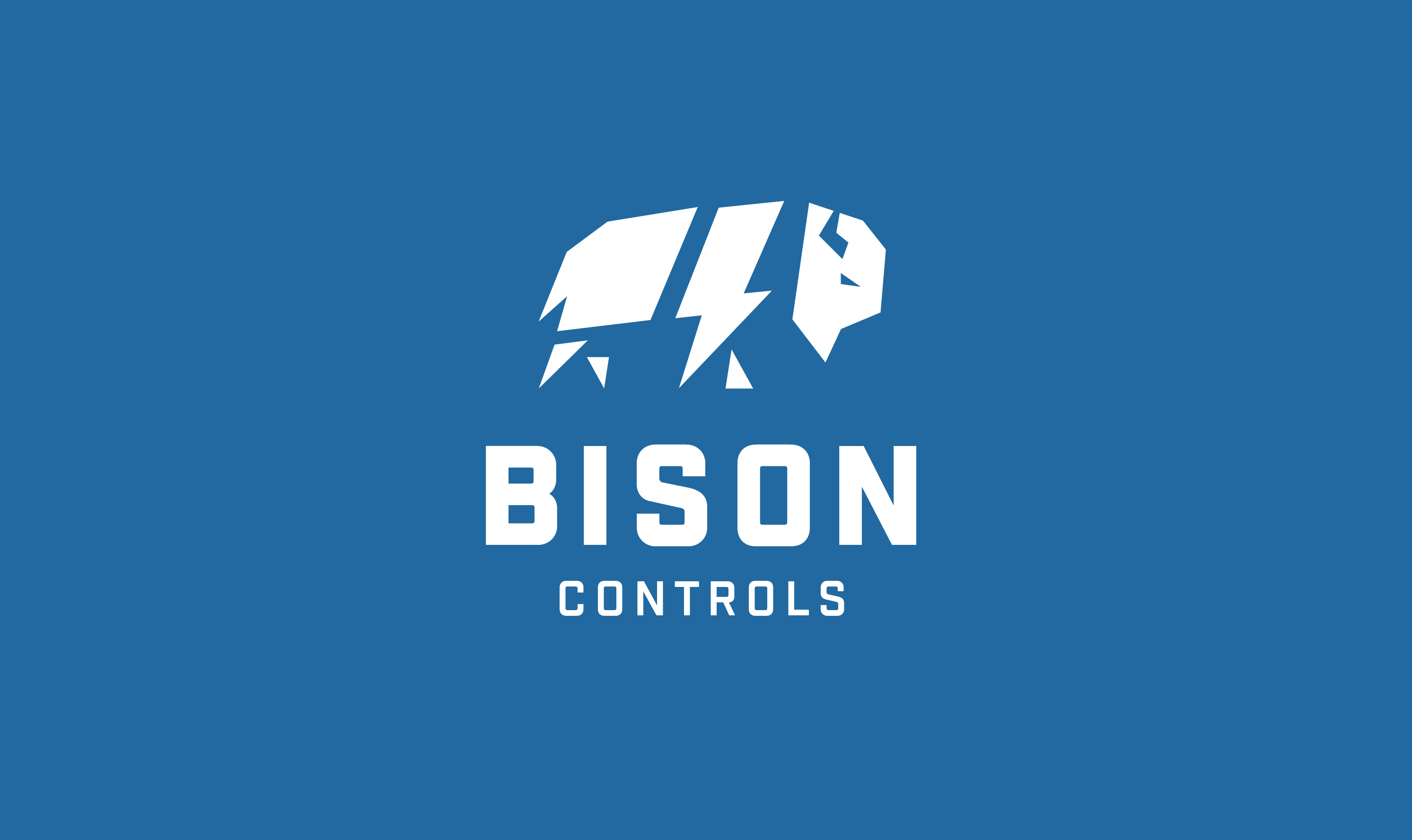Bison Controls Branding bison branding graphic design logo