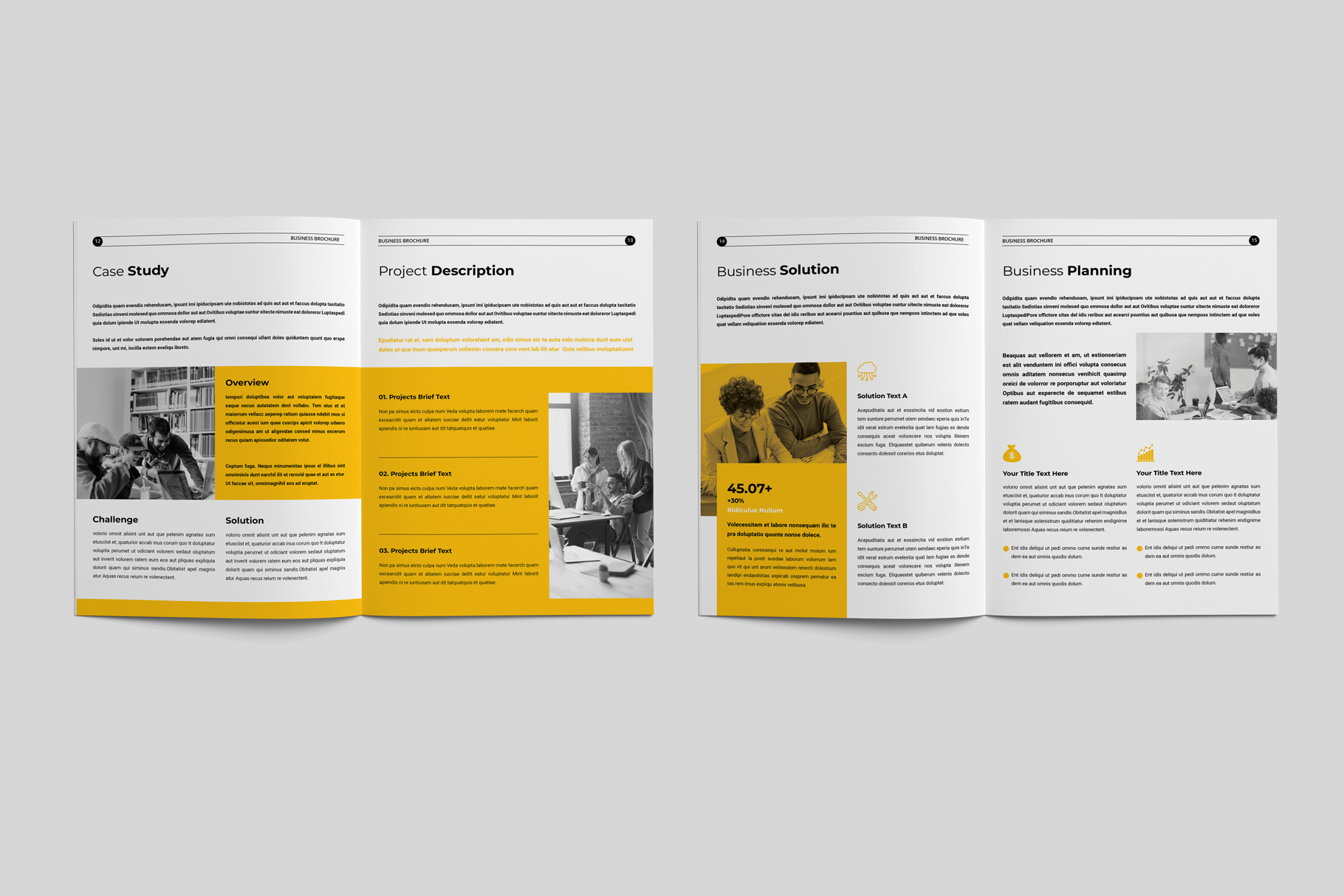 Example of Company Brochure Template