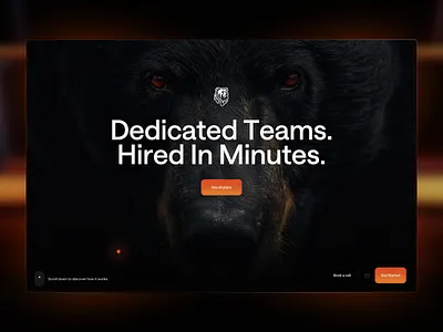 DashHQ- Dedicated Teams, Hired in Minutes branding website websitedesign