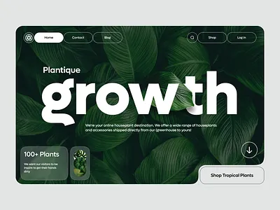 Ecommerce Website branding design font hero section landing page typo typography ui ux