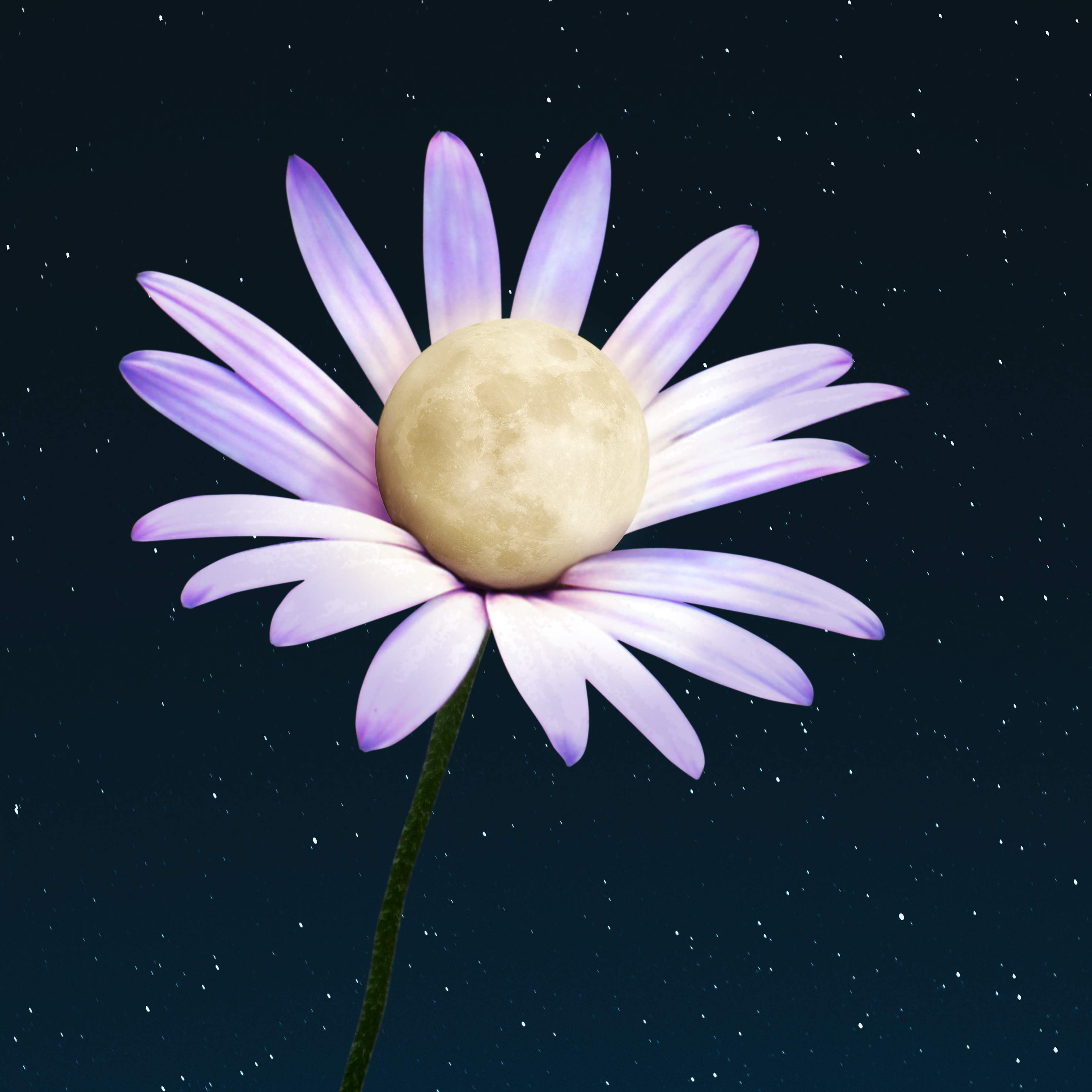 Moonfleur collage color costa rica design digital collage flower love moon photomontage tropical