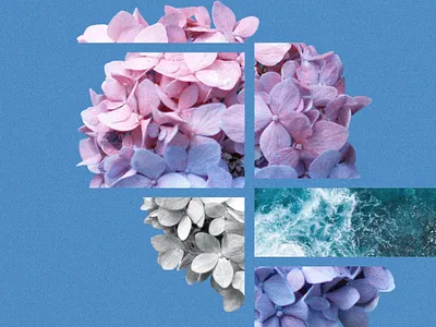 Sea heart collage color costa rica deconstruction design digital collage disruptive flower heart love photomontage sea tropical