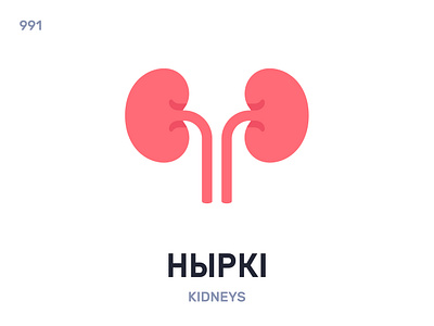 Ны́ркі / Kidneys belarus belarusian language daily flat icon illustration vector