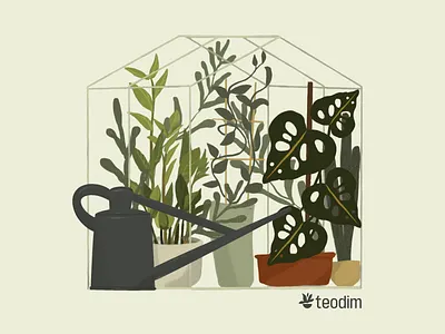 Teodim — Cozy Greenhouse Illustration brand brand design branding branding inspiration branding template cool branding design figma illustration illustration design