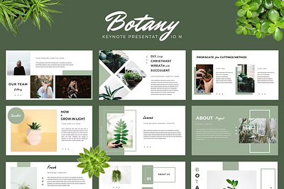 Botany Keynote Presentation design keynote powerpoint ppt presentation template