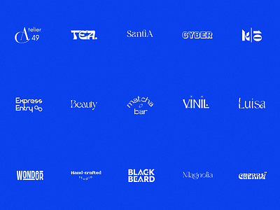 Logofolio 2022 - 2023 blue branding graphic design identity logo logotypes typography white